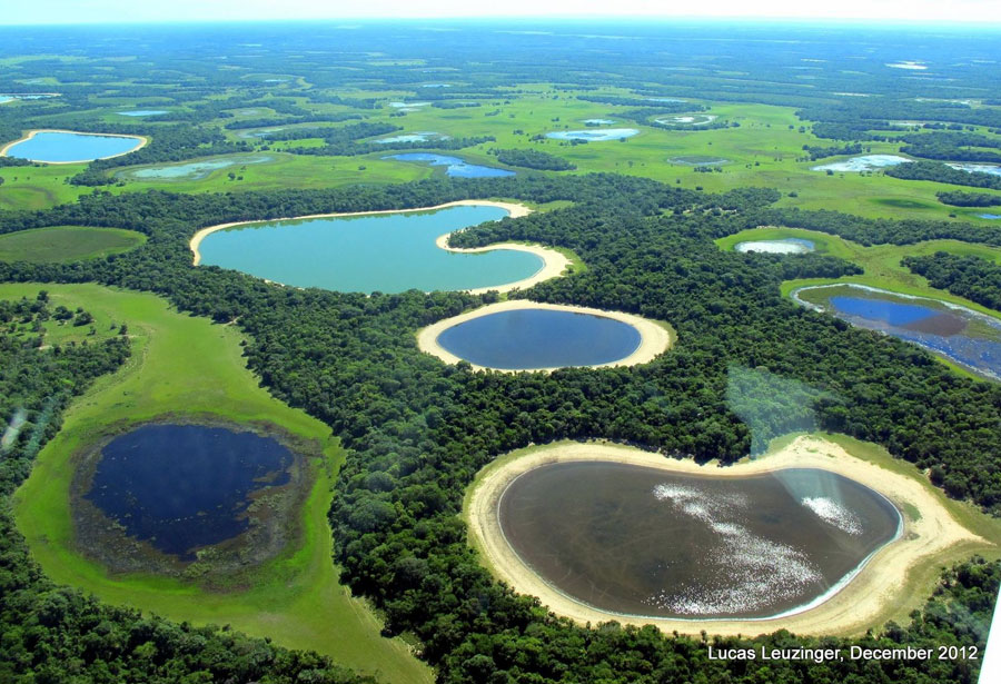 El Gran Pantanal de Brasil, un lugar lleno de vida y color Playas del mundo