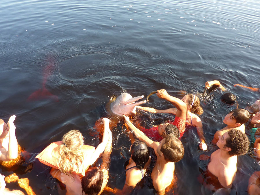 Nadar con delfines rosados en el Amazonas, una experiencia inolvidable