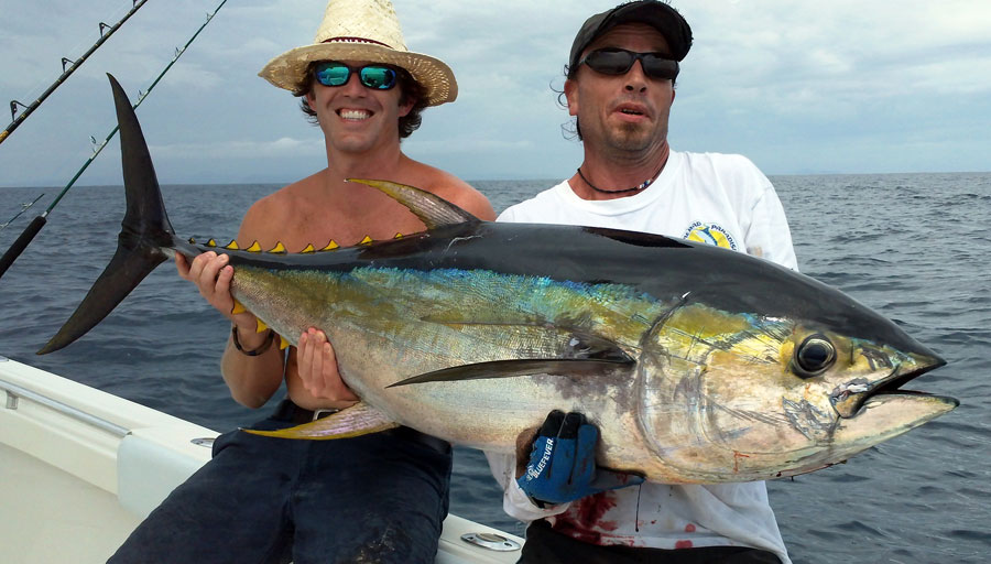 Panamá, el paraíso de los peces