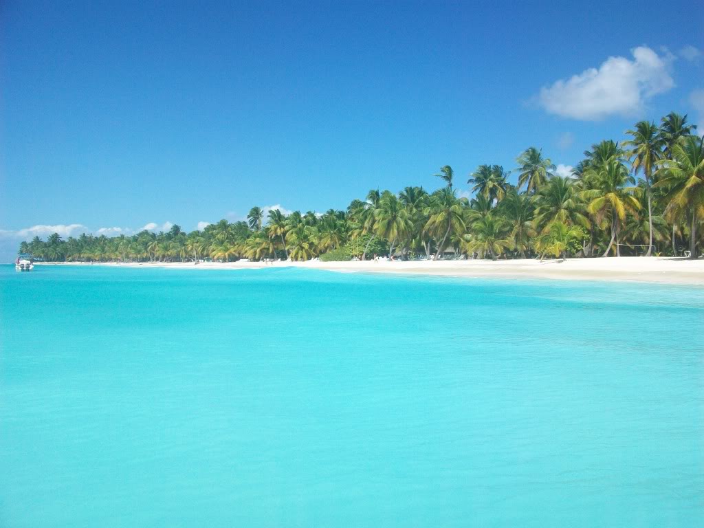 Isla Saona, lo más exótico de Punta Cana Playas del mundo